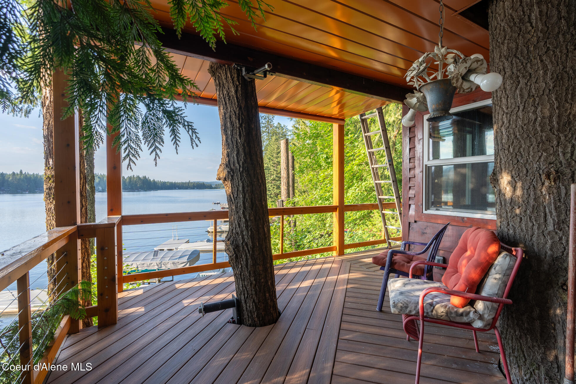 143 Viewpoint Road Newport, WA 99156 - Photo 35 of 47 Tree 5