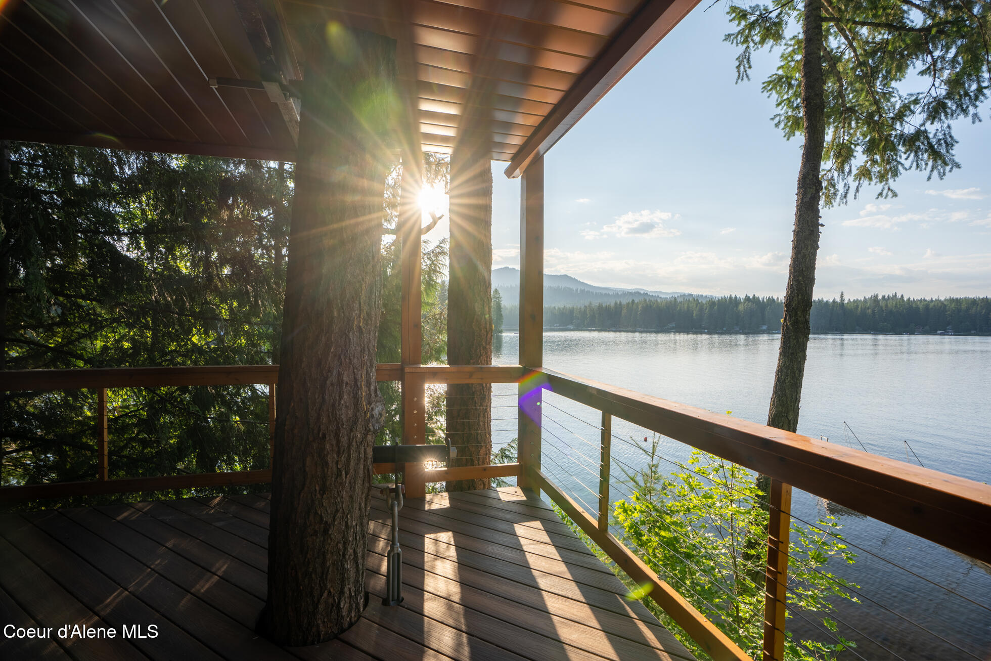 143 Viewpoint Road Newport, WA 99156 - Photo 43 of 47 Tree 7