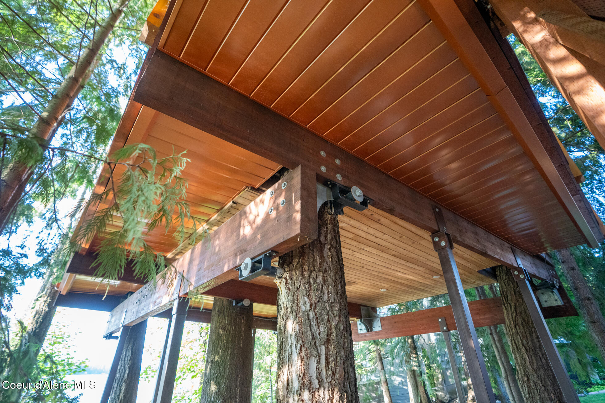 143 Viewpoint Road Newport, WA 99156 - Photo 44 of 47 Tree 9