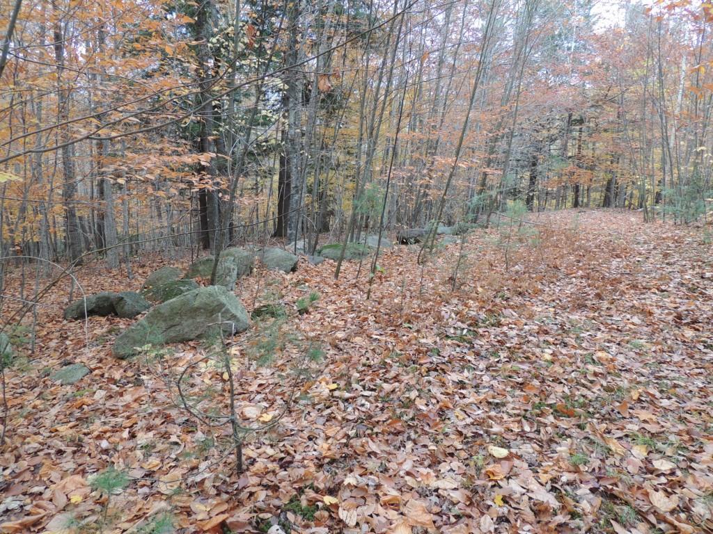442 Molyneaux Road Camden, ME 04843 - Photo 4 of 11 Photo