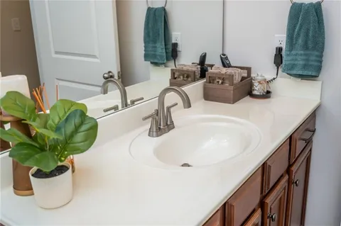 a bathroom with a sink a mirror and a potted plant