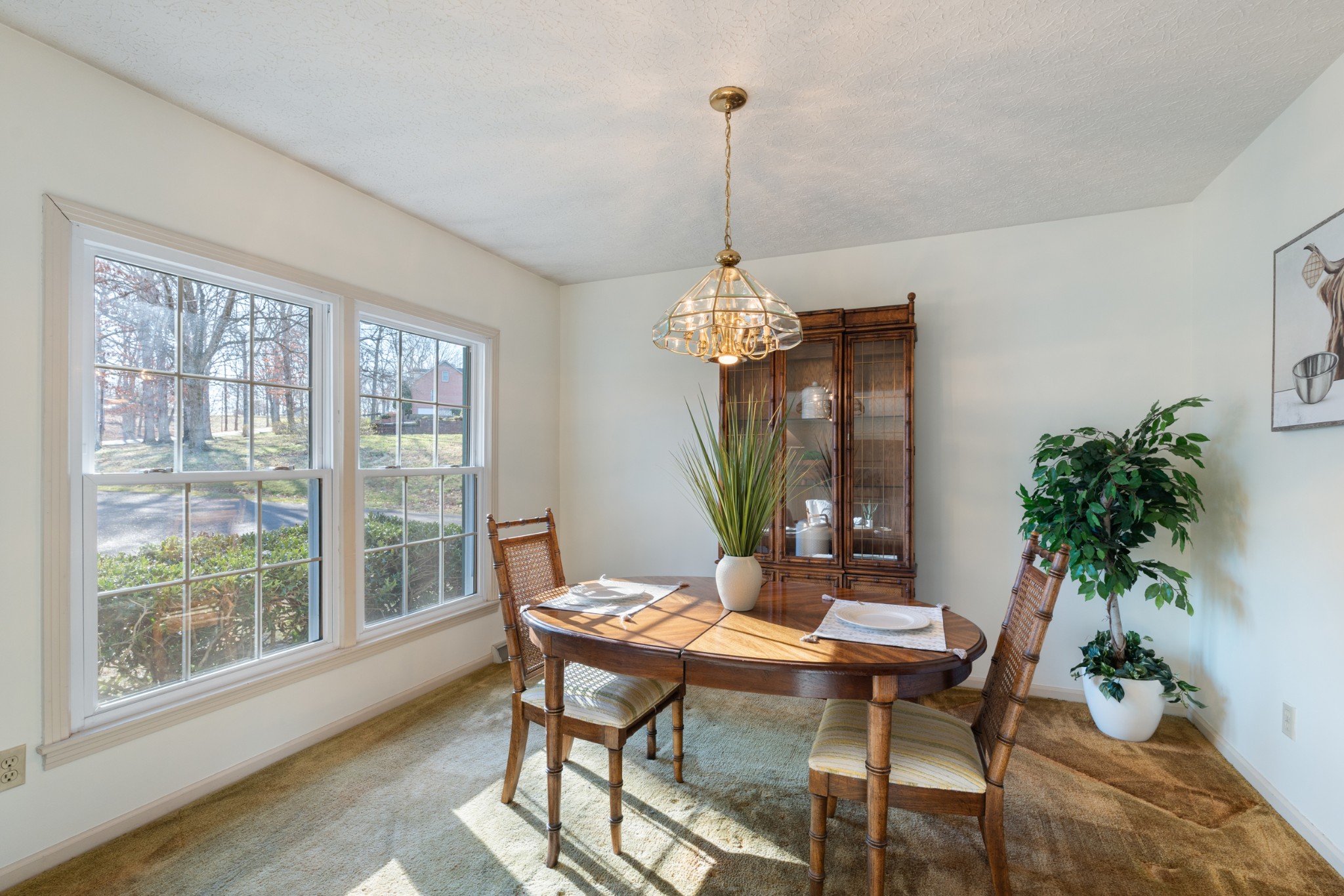 115 Rae Lane Burns, TN 37029 - Photo 11 of 61