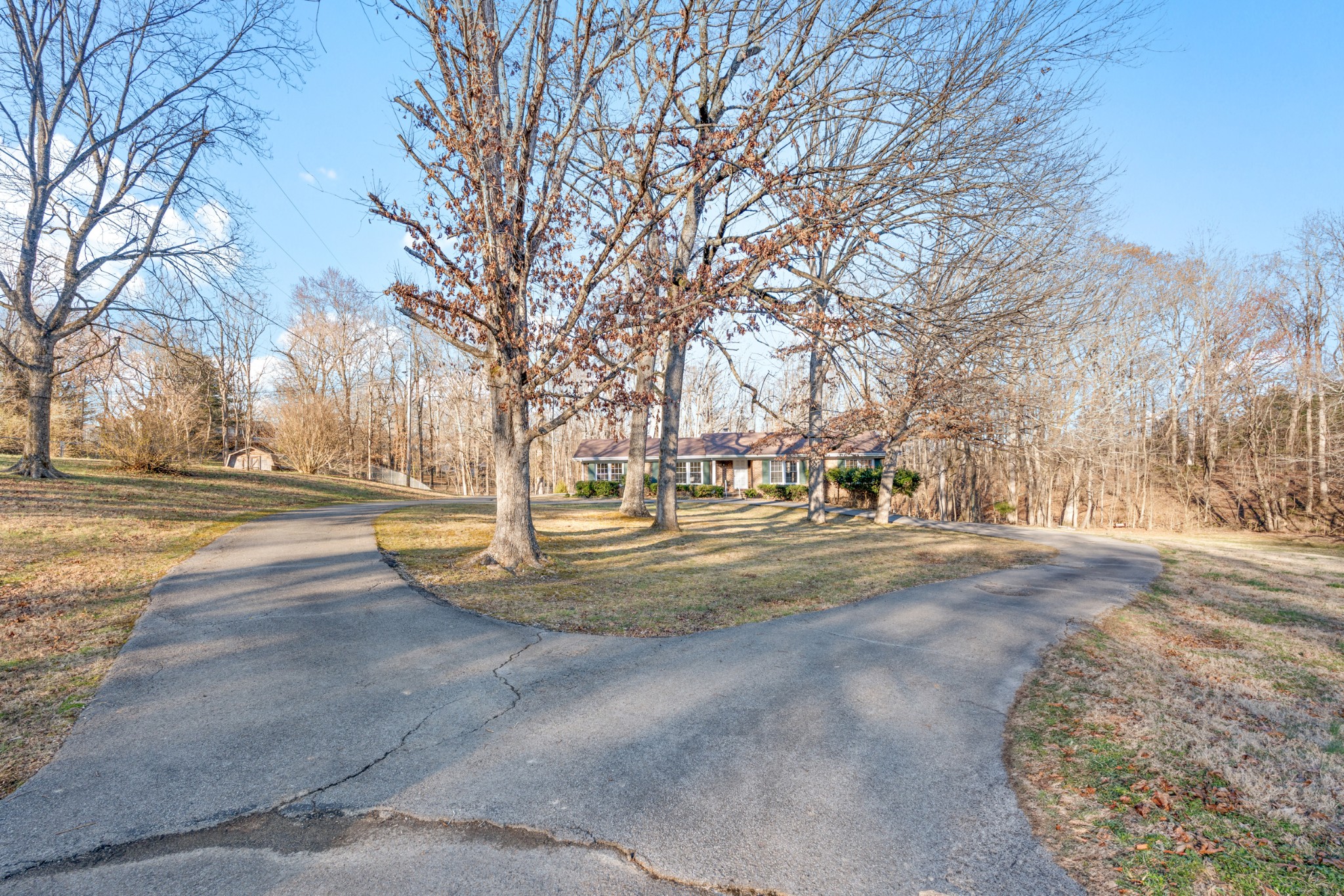 115 Rae Lane Burns, TN 37029 - Photo 3 of 61