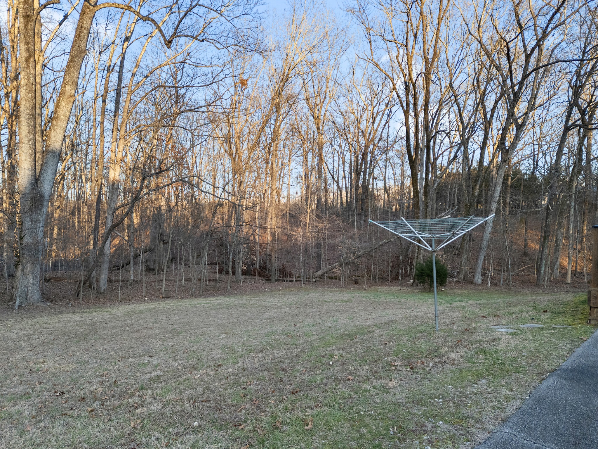 115 Rae Lane Burns, TN 37029 - Photo 60 of 61