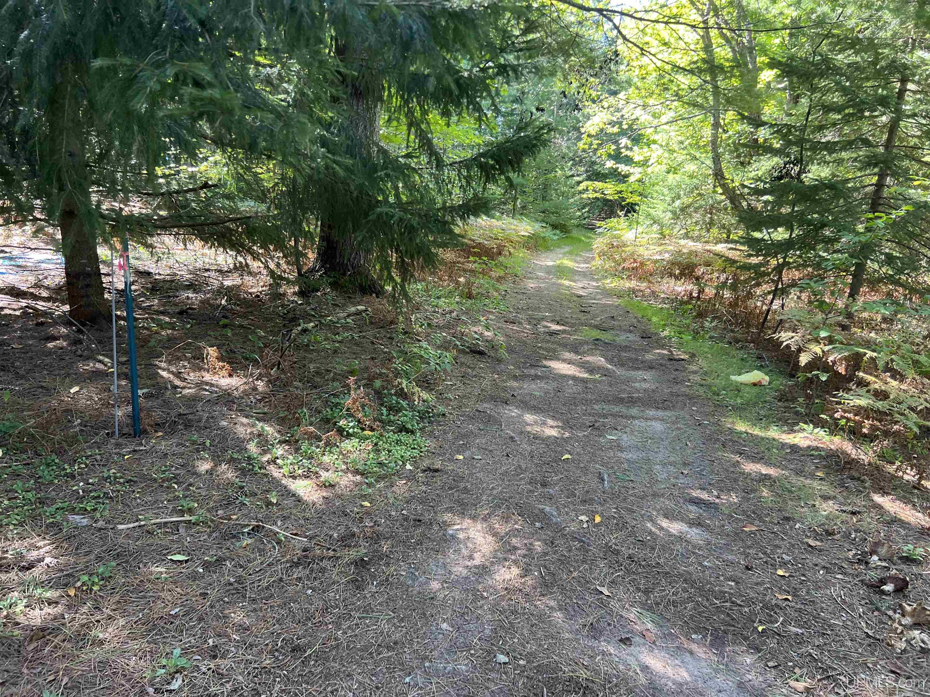 N6317 Connors Road Munising, MI 49862 - Photo 43 of 43
