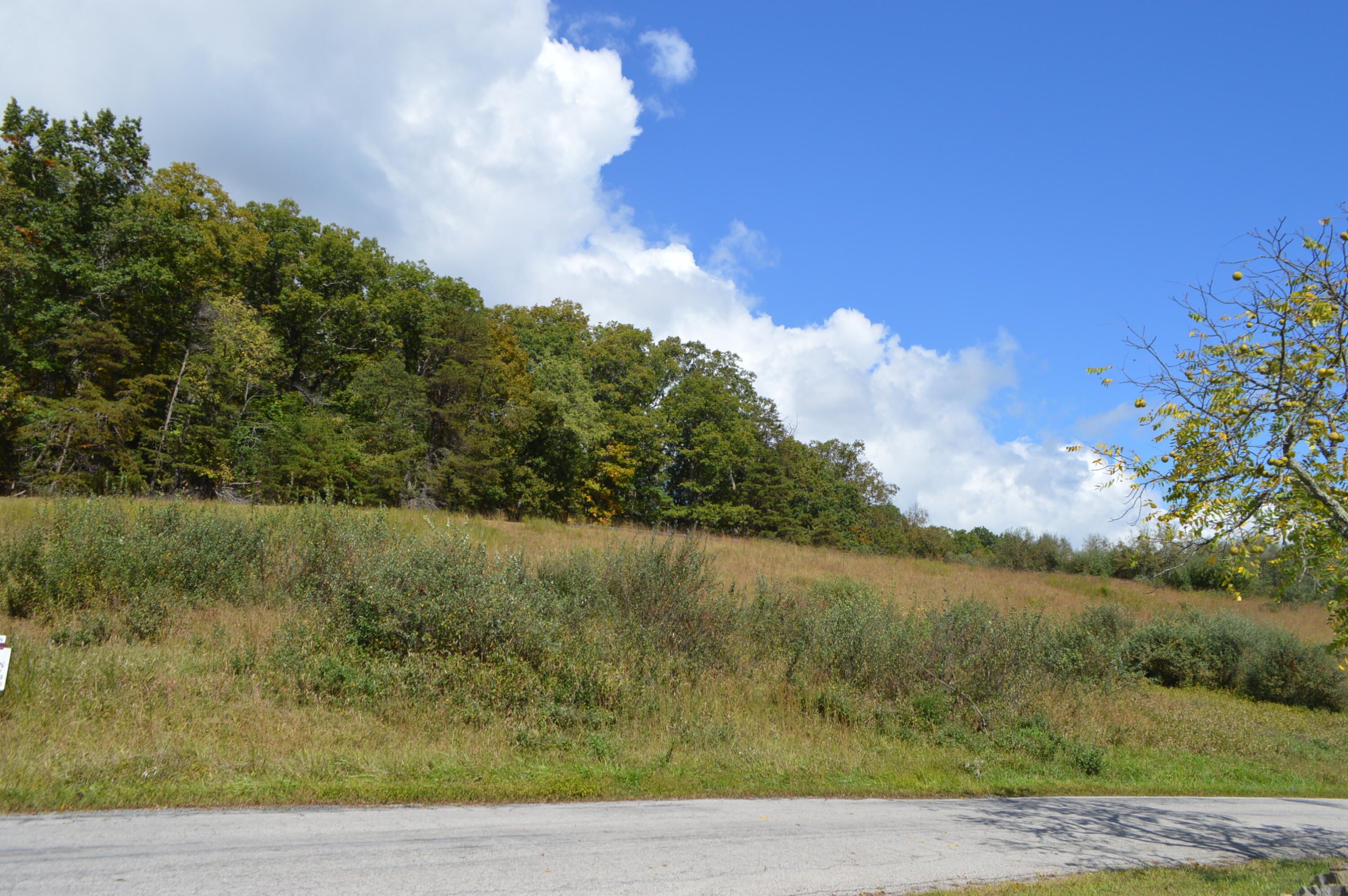 23 Johns Creek Road Newport, VA 24128 - Photo 5 of 5 DSC_1556 - Copy