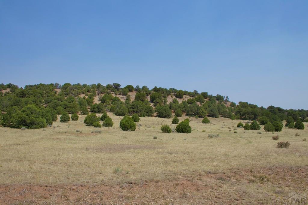 Unit #4 Unit Road Walsenburg, CO 81089 - Photo 4 of 36