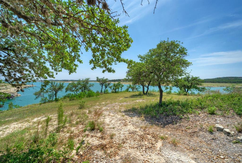 8005 Sharon Road Leander, TX 78641 - Photo 8 of 12 a view of backyard with green space