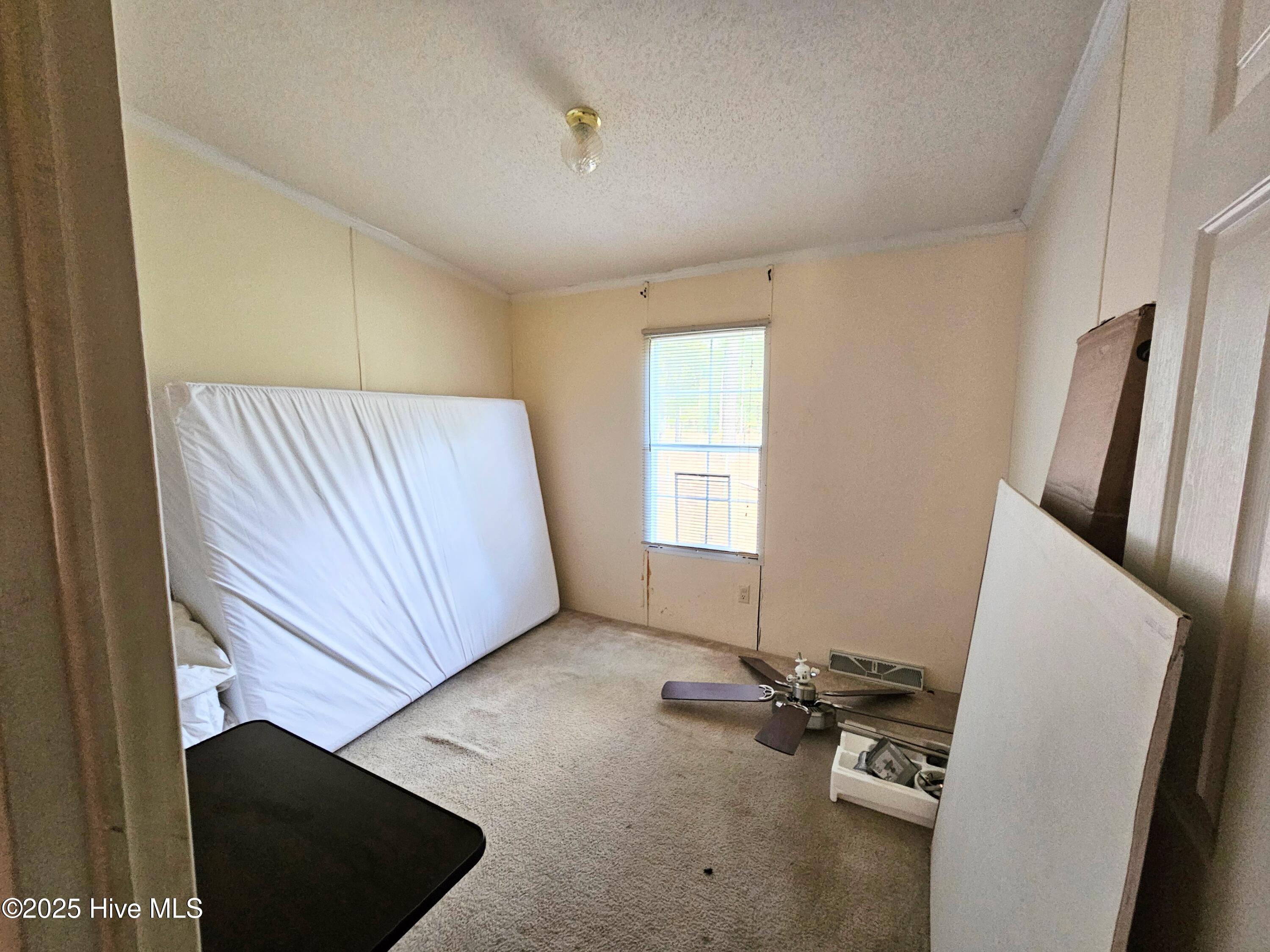 3425 Blueberry Road Currie, NC 28435 - Photo 15 of 22 20251103_140842