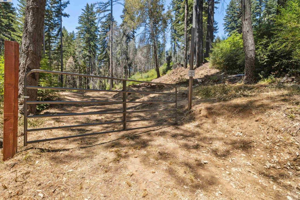 3 Branson Run Boulder Creek, CA 95006 - Photo 11 of 27 a backyard of a house with trees and stairs