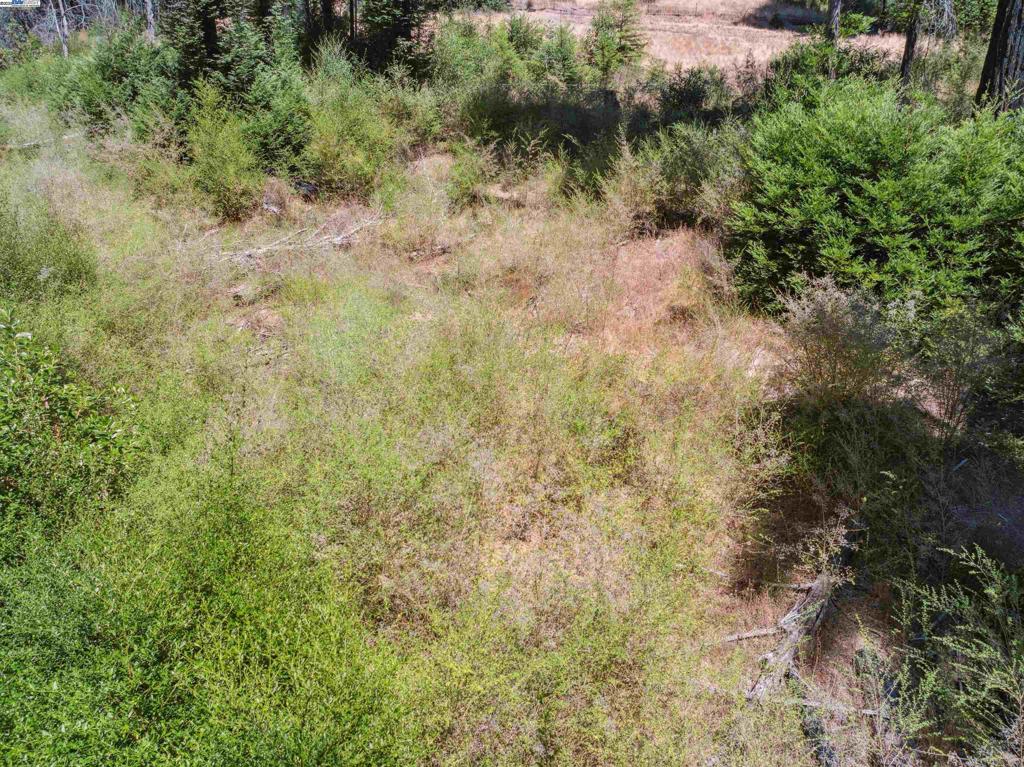 3 Branson Run Boulder Creek, CA 95006 - Photo 13 of 27 a view of a dry yard