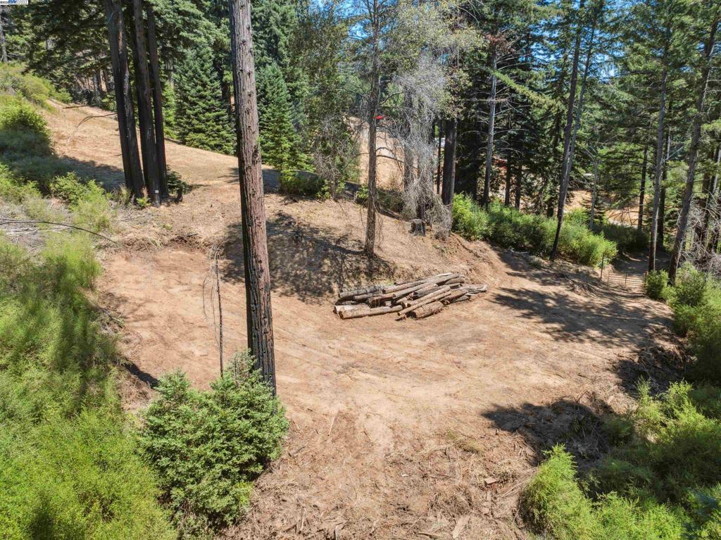 3 Branson Run Boulder Creek, CA 95006 - Photo 14 of 27 a view of a trees covered with snow