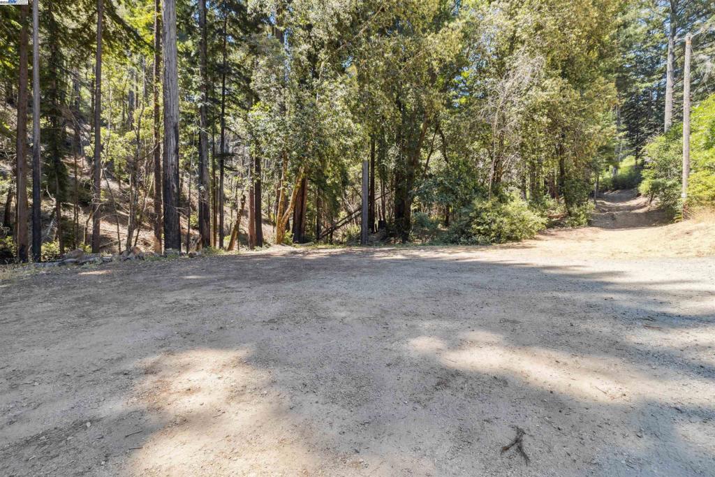 3 Branson Run Boulder Creek, CA 95006 - Photo 8 of 27 a view of dirt yard with a large tree