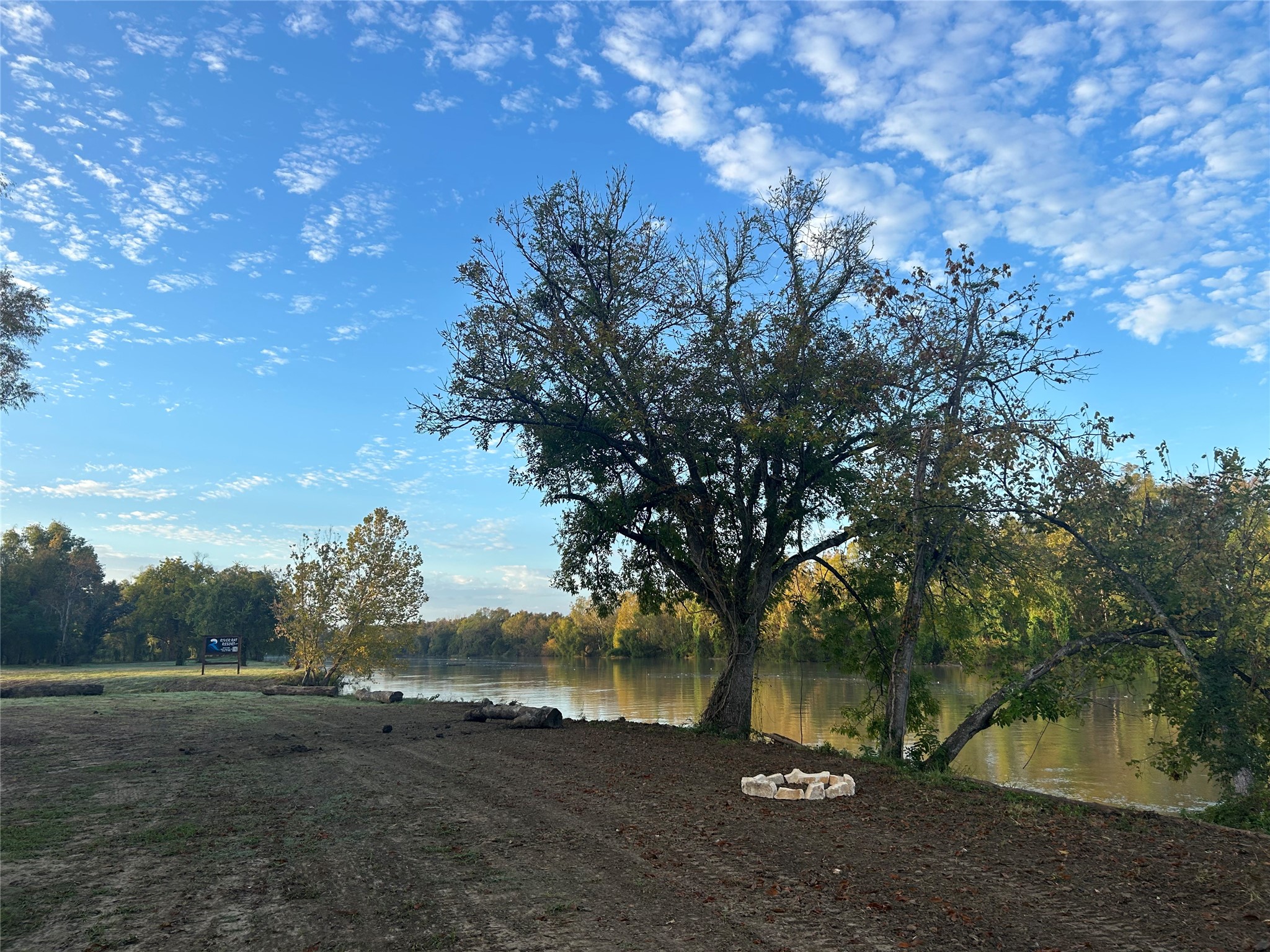 4326 Highway 19 Trinity, TX 75862 - Photo 5 of 12 a view of a tree in a field
