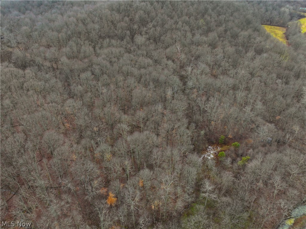 0 Tract 10 Kuhn Road Lewisville, OH 43754 - Photo 27 of 27