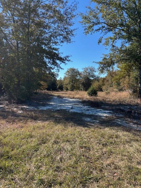 1006 Huckleberry Finn Road Batesburg, SC 29006 - Photo 2 of 3 IMG_5784