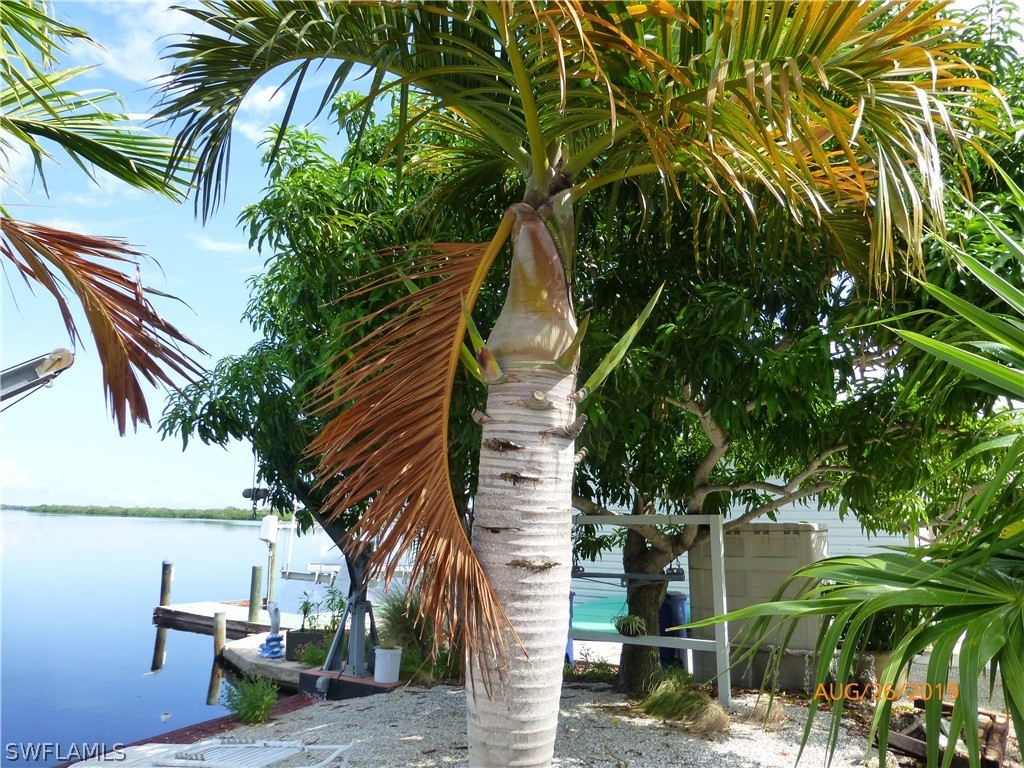 4830 Pine Island Road Bokeelia, FL 33922 - Photo 19 of 27 Gallery Image 19