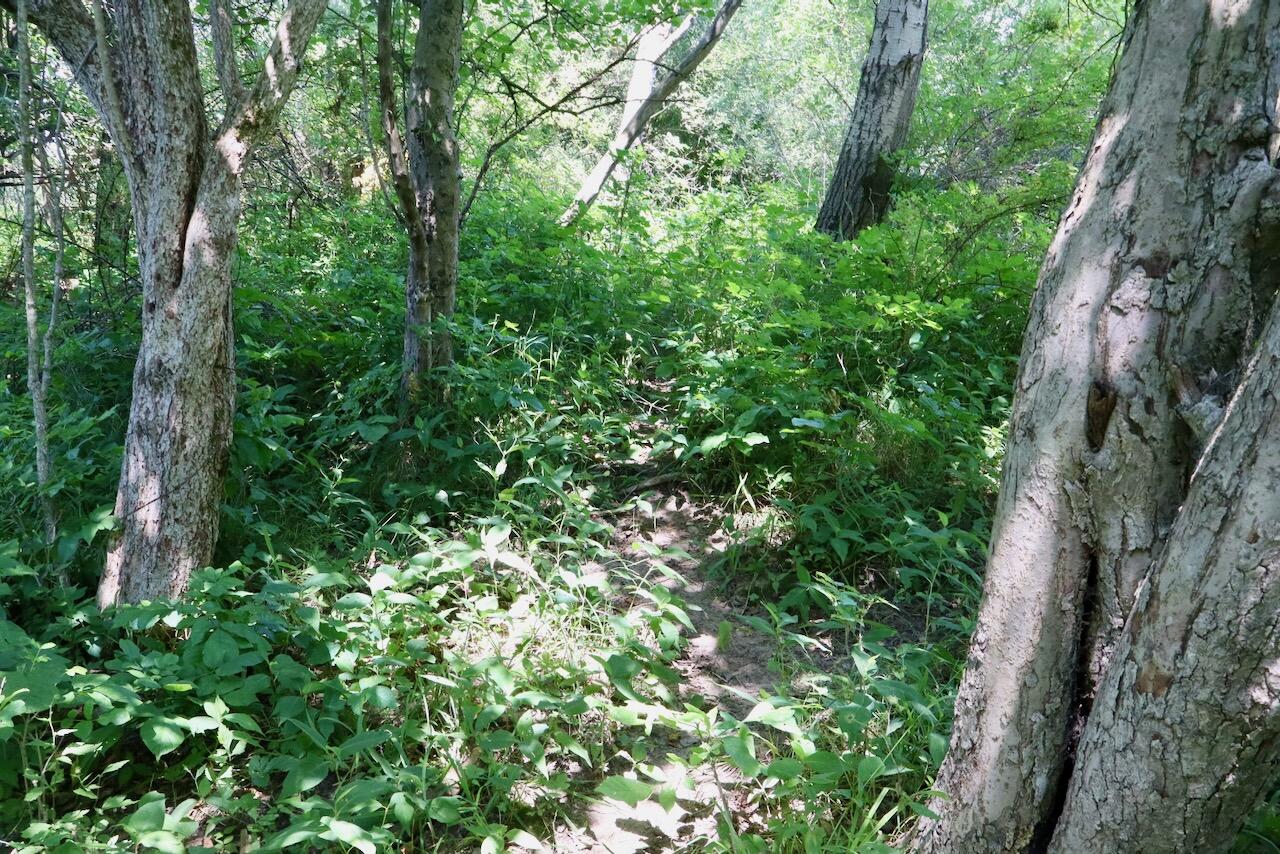 4718 Church Road Six Lakes, MI 48886 - Photo 20 of 76 020