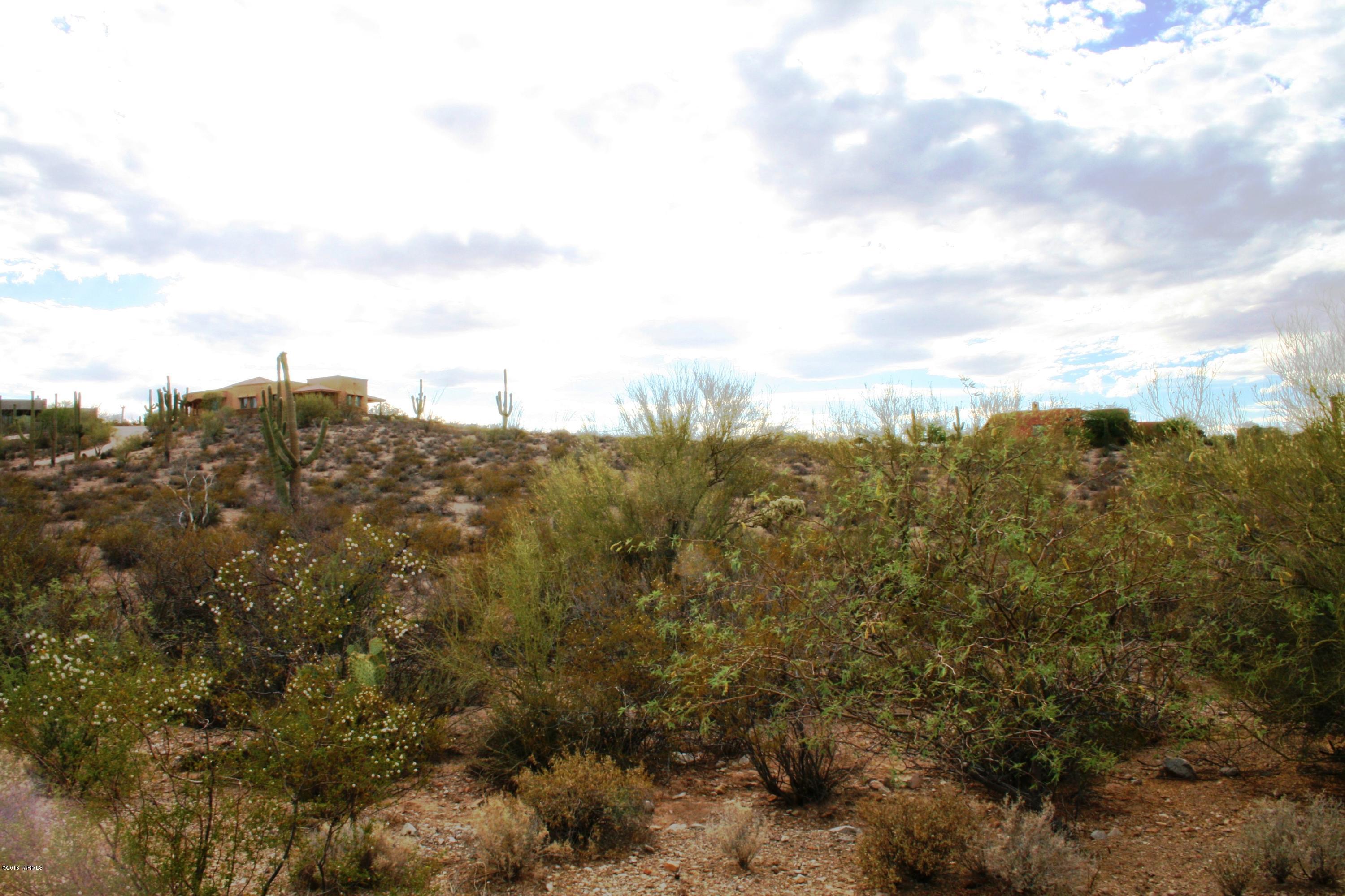 6075 North Abington Road, Unit LOT 4 Tucson, AZ 85743 - Photo 30 of 31