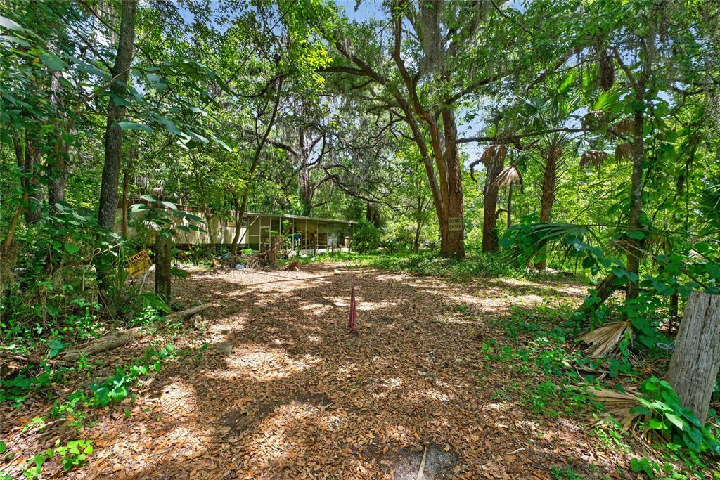 5725 Northwest 219th Street Road Micanopy, FL 32667 - Photo 1 of 17