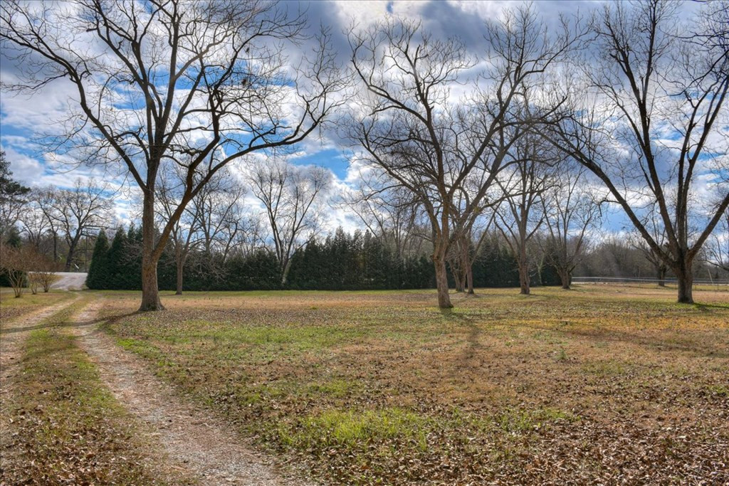 5077 Deans Bridge Road Blythe, GA 30805 - Photo 4 of 34