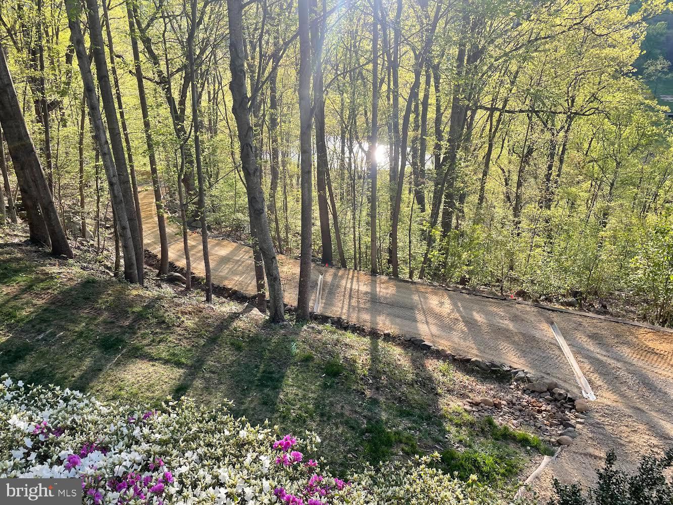 259 Riley Hollow Road Huntly, VA 22640 - Photo 24 of 33 a view of backyard with green space