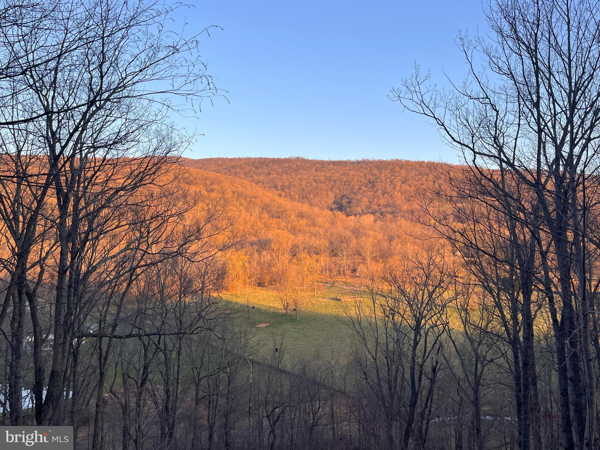 259 Riley Hollow Road Huntly, VA 22640 - Photo 31 of 33 a view of mountain view with trees in the background