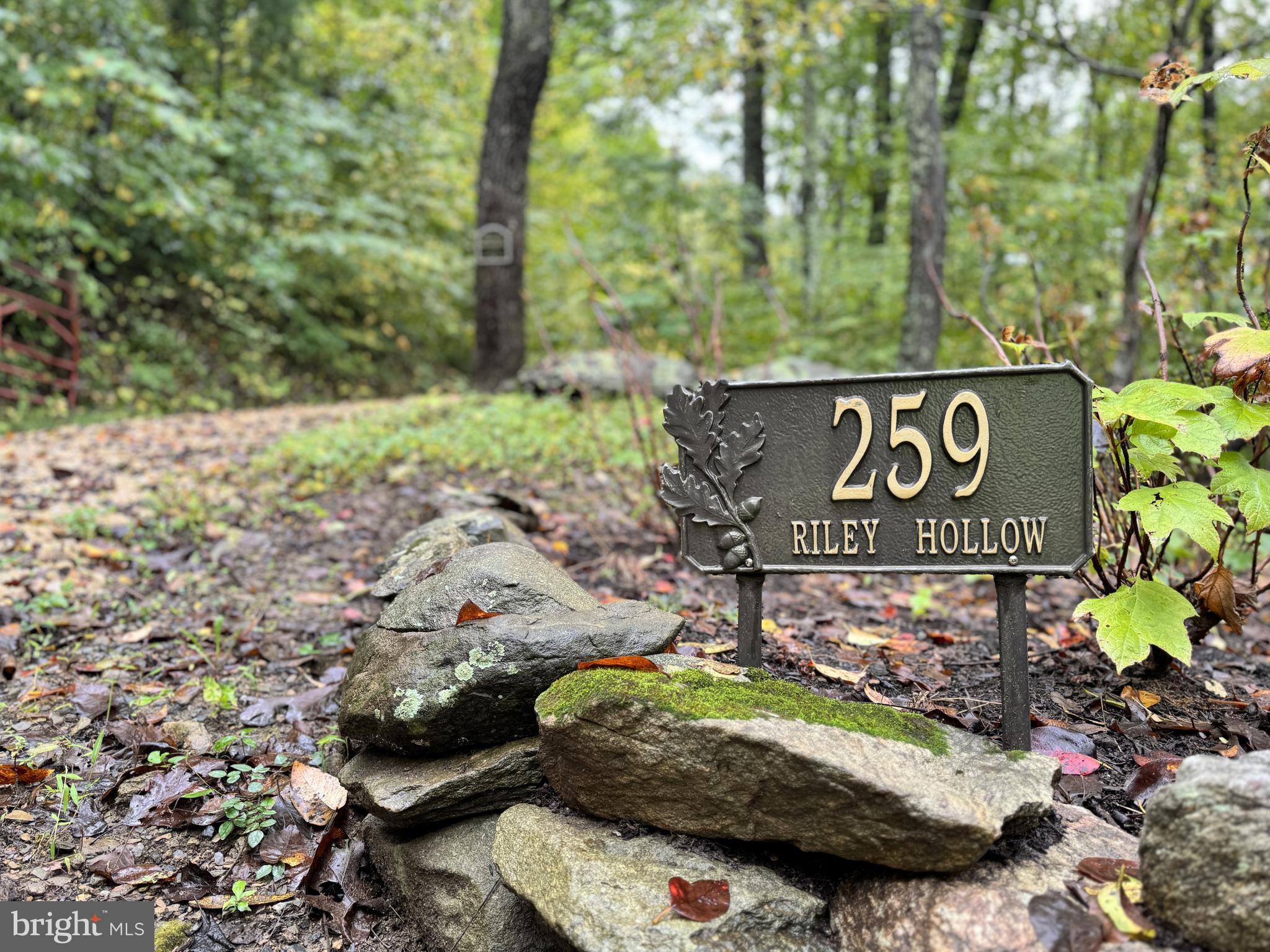 259 Riley Hollow Road Huntly, VA 22640 - Photo 33 of 33 a view of outdoor space with sign board