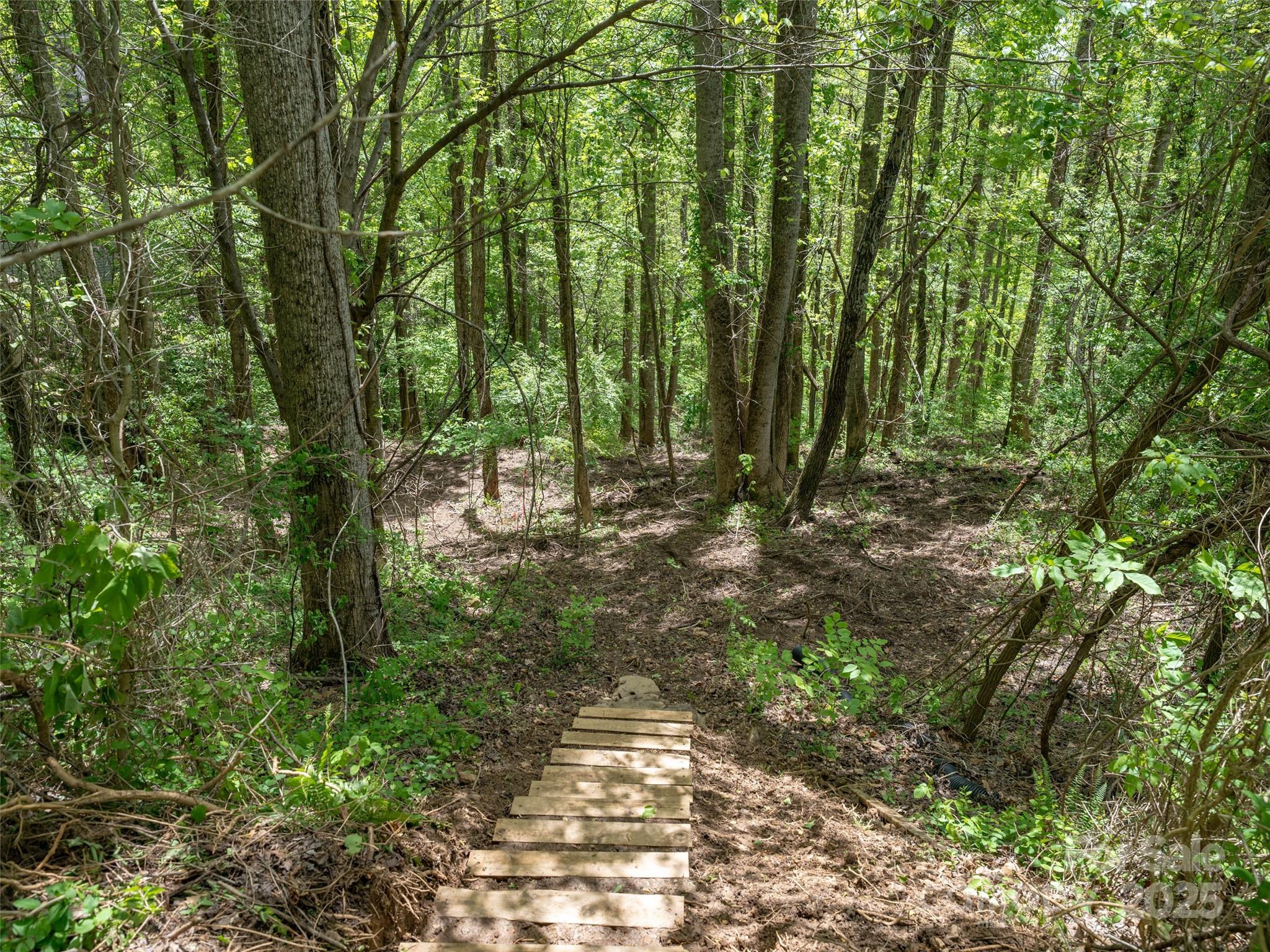 26 Fall Mountain Road, Unit 58 Asheville, NC 28803 - Photo 14 of 25 a big yard with lots of green space and trees