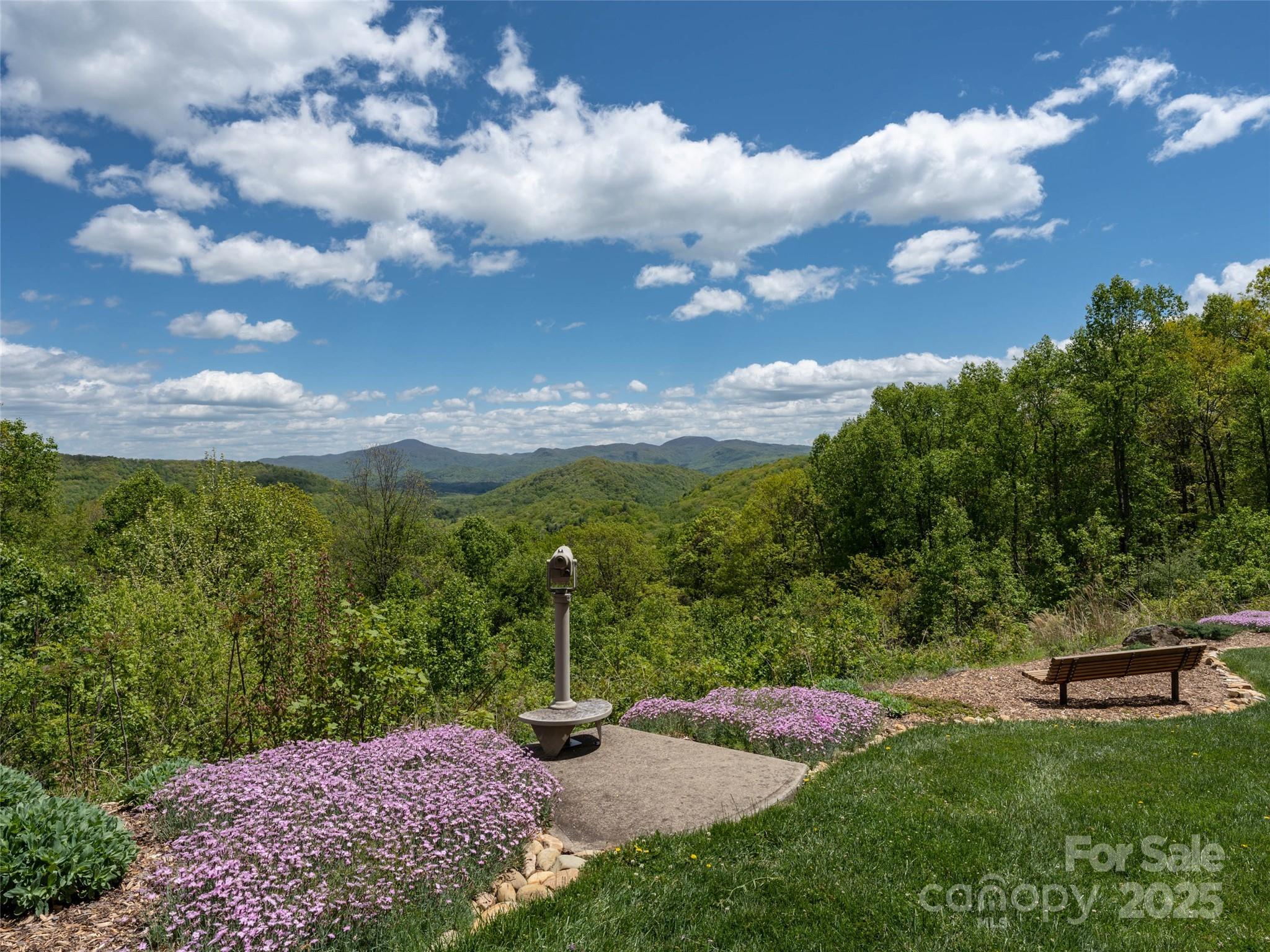26 Fall Mountain Road, Unit 58 Asheville, NC 28803 - Photo 16 of 25 a view of a garden with an tree