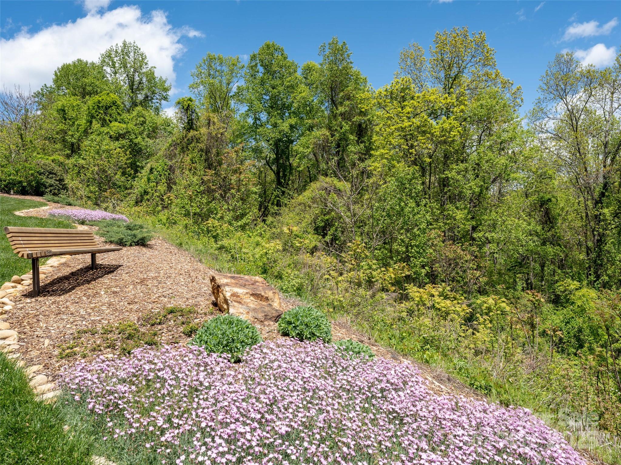 26 Fall Mountain Road, Unit 58 Asheville, NC 28803 - Photo 19 of 25 a view of a yard with plants and a bench