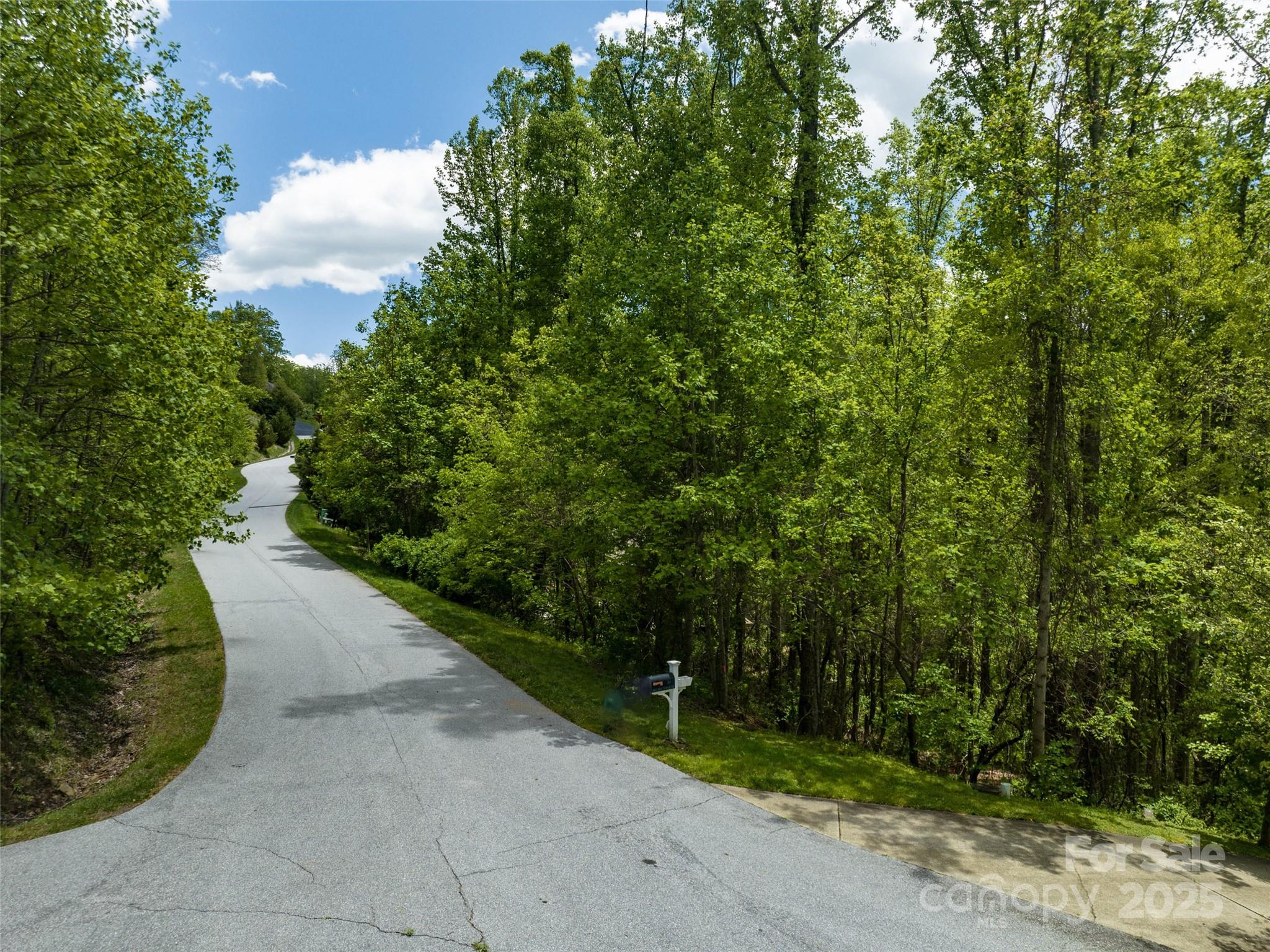26 Fall Mountain Road, Unit 58 Asheville, NC 28803 - Photo 24 of 25 a view of a pathway both side of yard