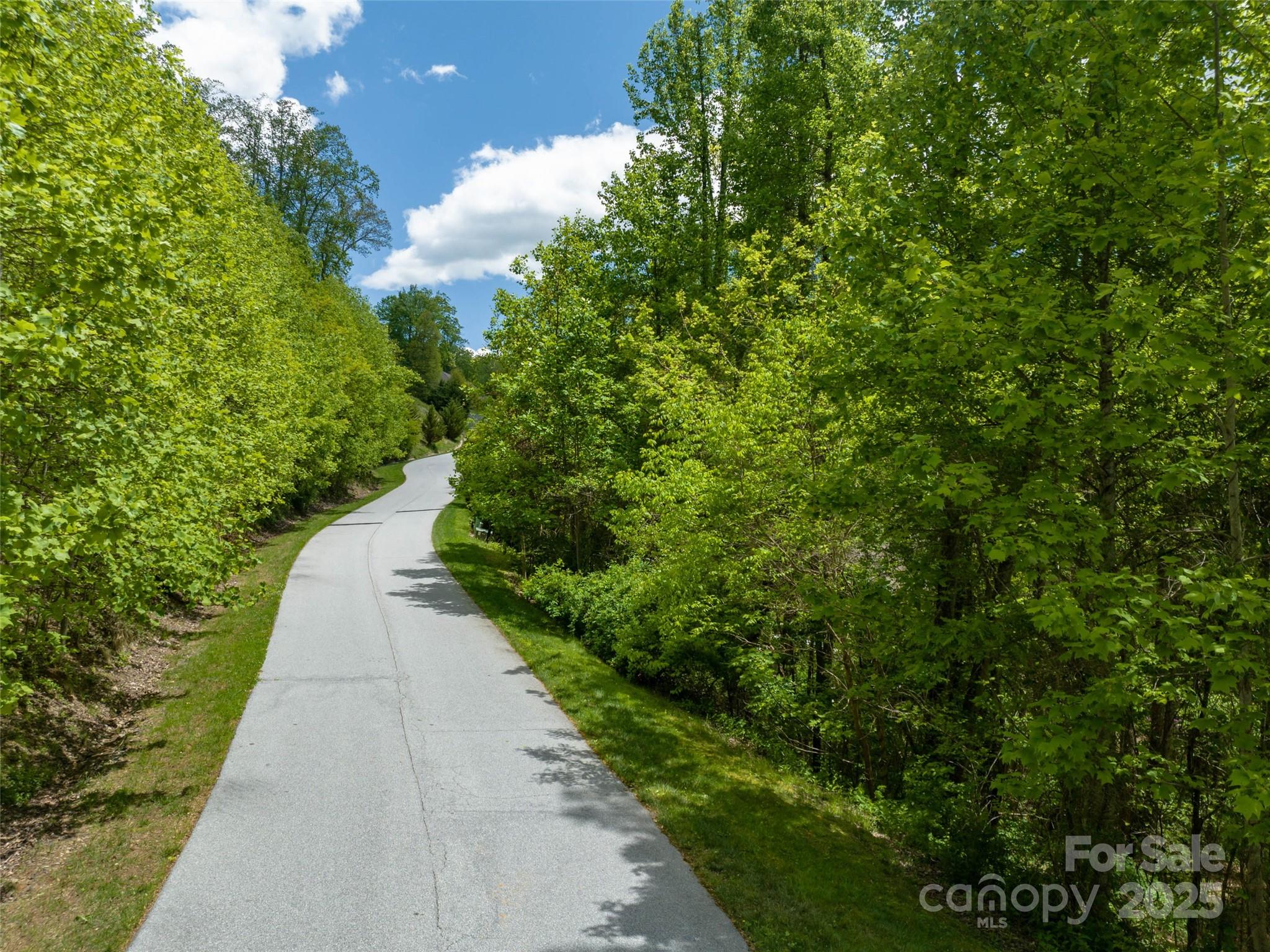 26 Fall Mountain Road, Unit 58 Asheville, NC 28803 - Photo 25 of 25 a view of a pathway both side of yard