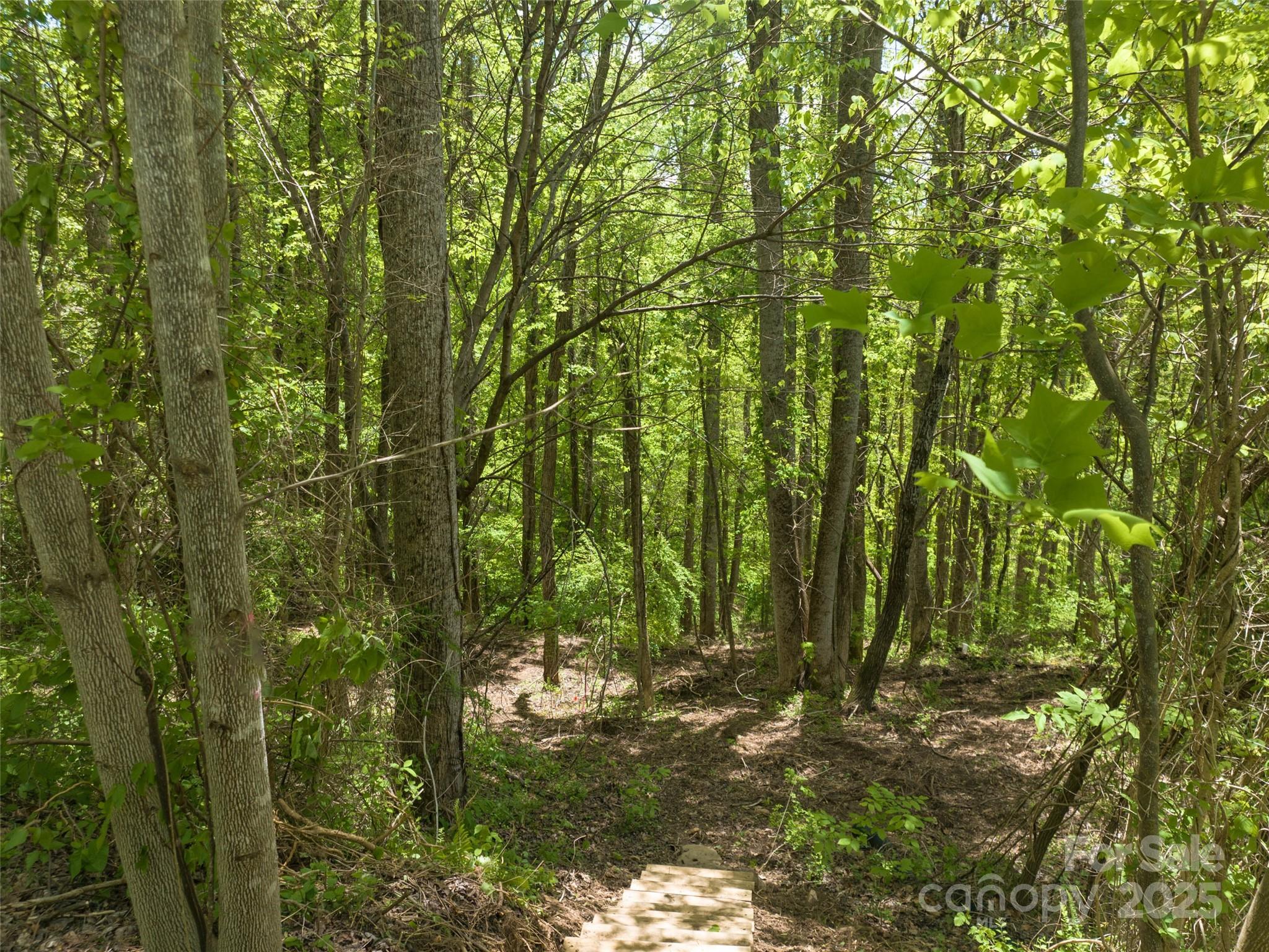 26 Fall Mountain Road, Unit 58 Asheville, NC 28803 - Photo 4 of 25 a view of outdoor space and trees