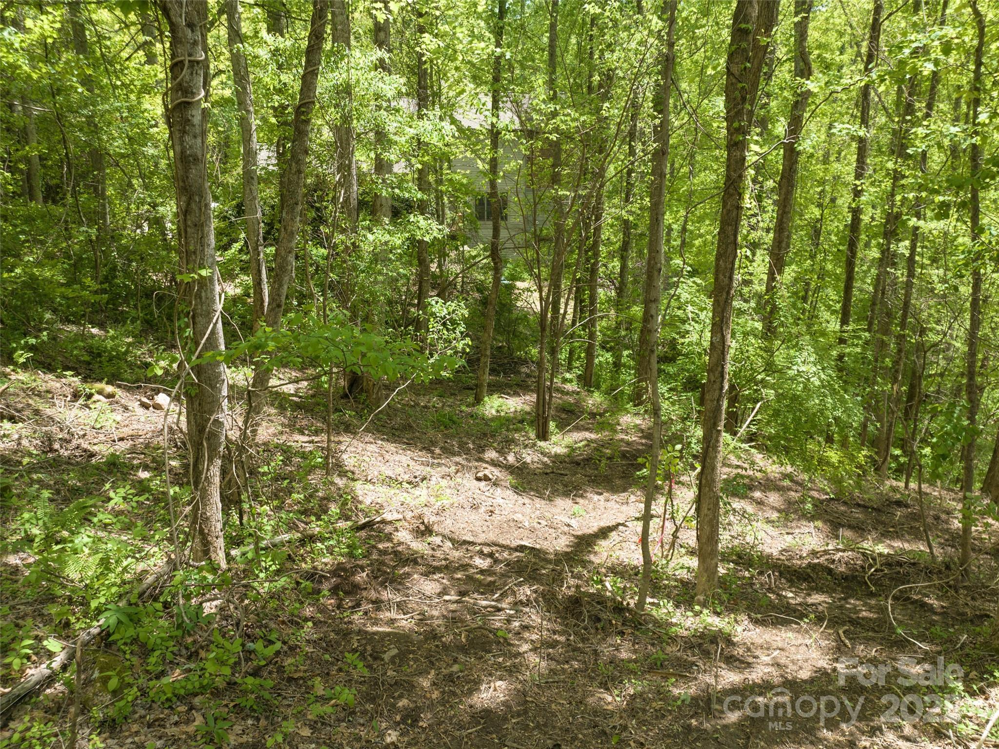 26 Fall Mountain Road, Unit 58 Asheville, NC 28803 - Photo 6 of 25 a view of outdoor space and garden
