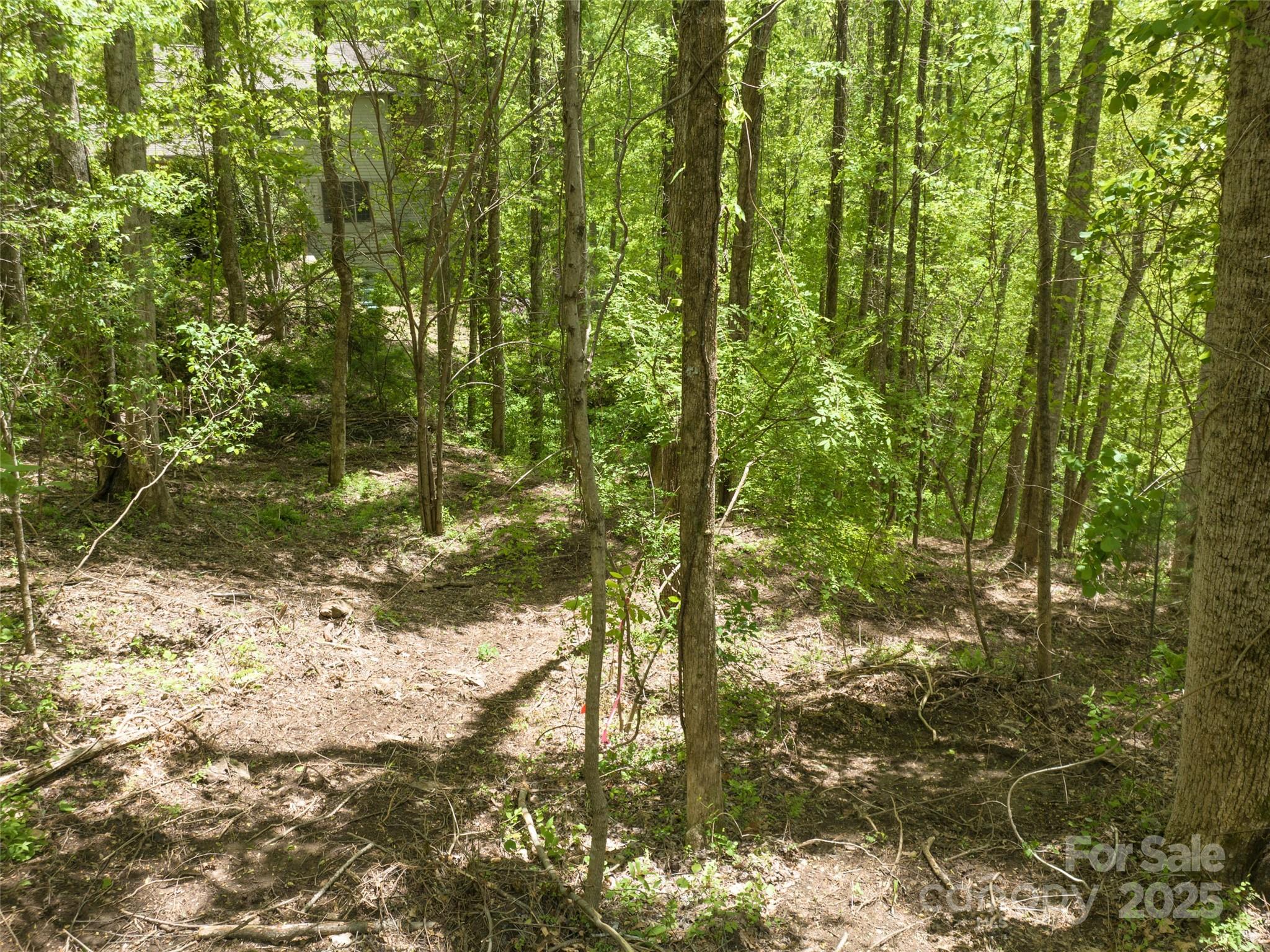 26 Fall Mountain Road, Unit 58 Asheville, NC 28803 - Photo 7 of 25 a view of a yard