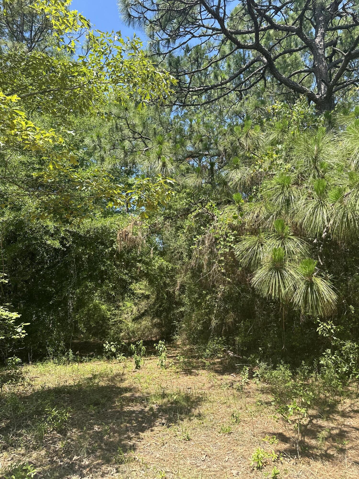 0 King Lake Road, Unit PARCEL D DeFuniak Springs, FL 32433 - Photo 7 of 9 a view of a lake view