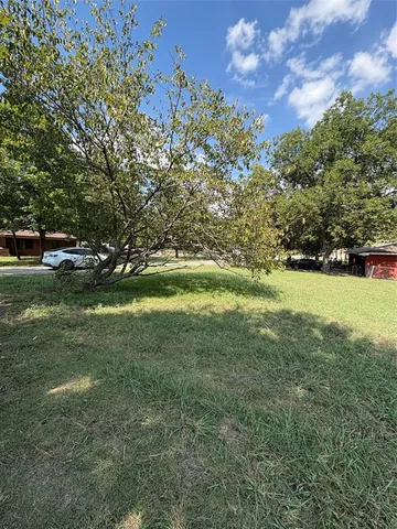 a view of a trees in a yard