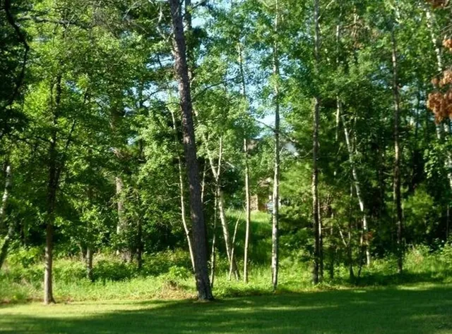 $79,000 | 8809 Kabekona Ridge Drive Northwest, Walker, MN 56484