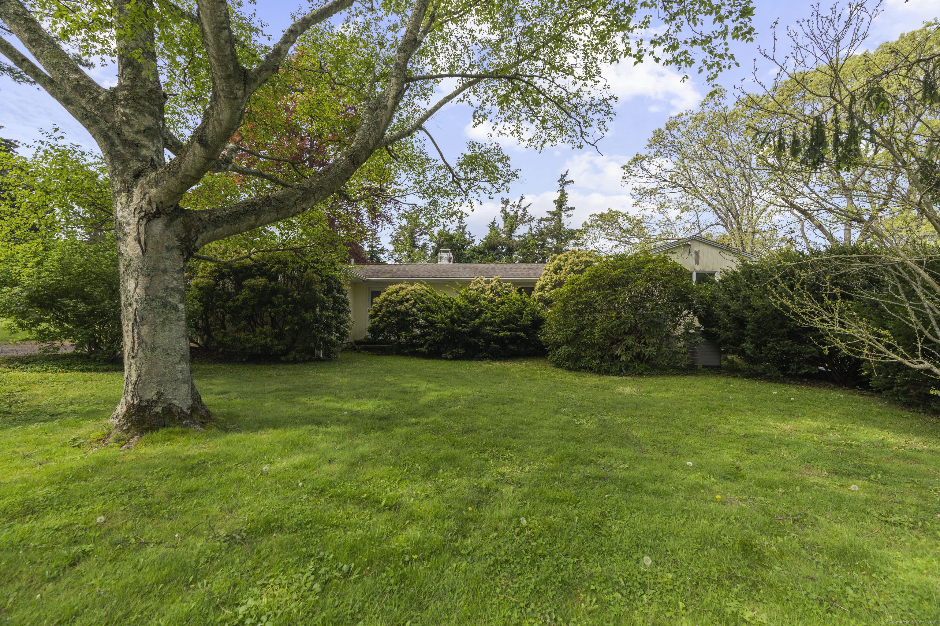 55 Harbor View Road Guilford, CT 06437 - Photo 30 of 38 a view of a trees with a yard