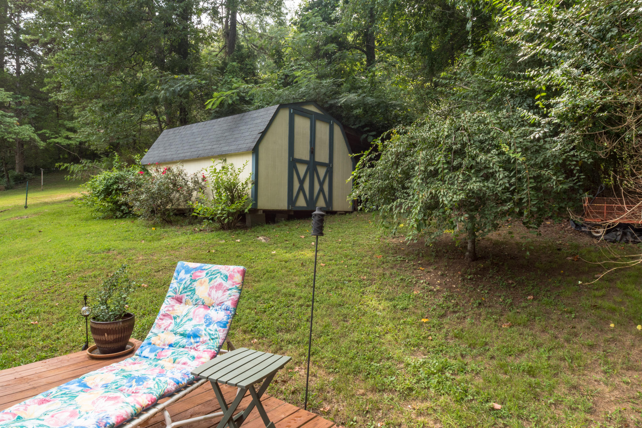 328 Chestnut Street Spring City, TN 37381 - Photo 29 of 30 20170803-_DSC0354