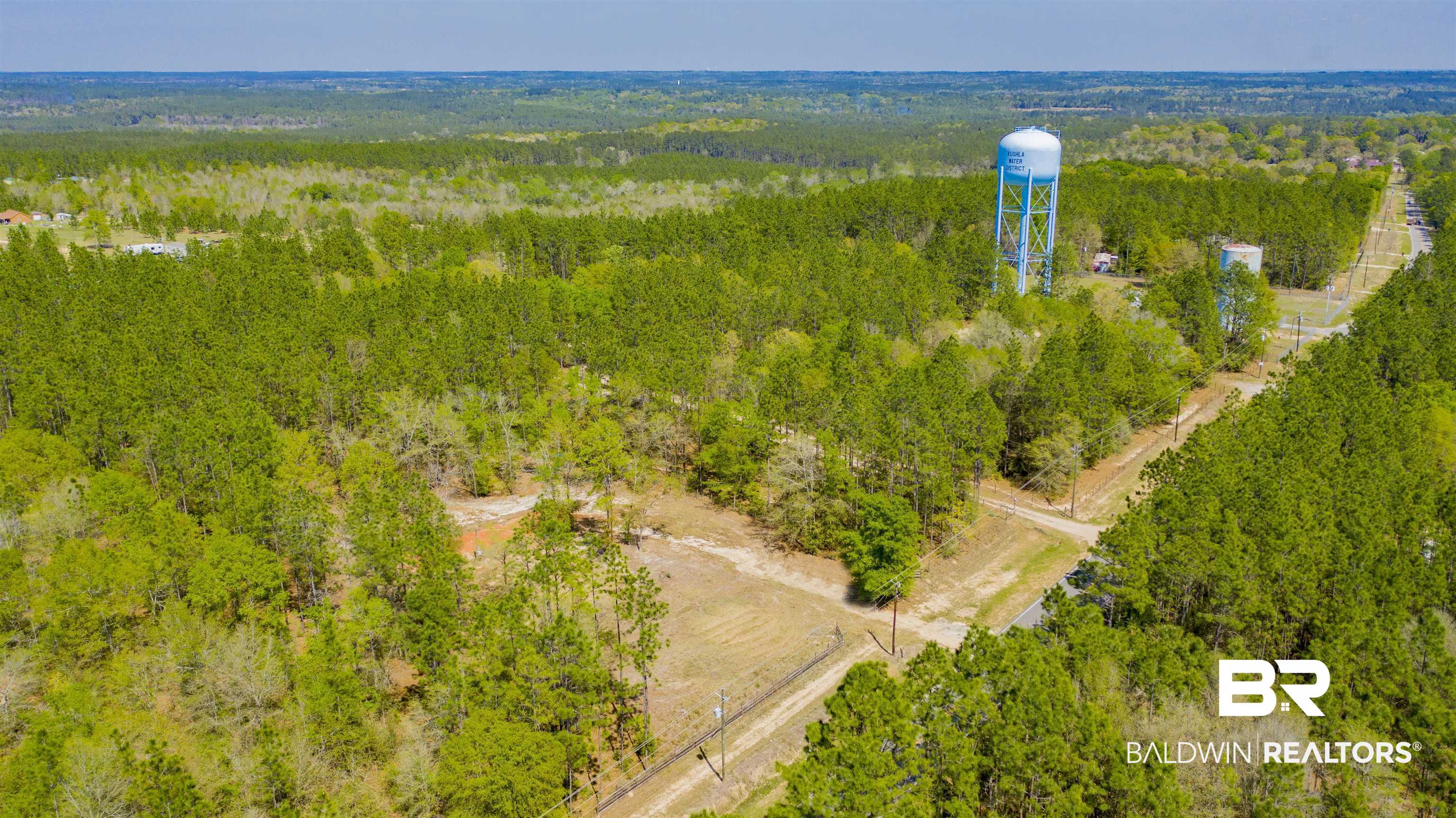 7660 Chunchula Georgetown Road Chunchula, AL 36521 - Photo 6 of 11