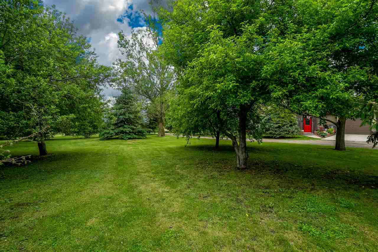 15666 East Bethel Road Rochelle, IL 61068 - Photo 12 of 22 a view of a park with a tree