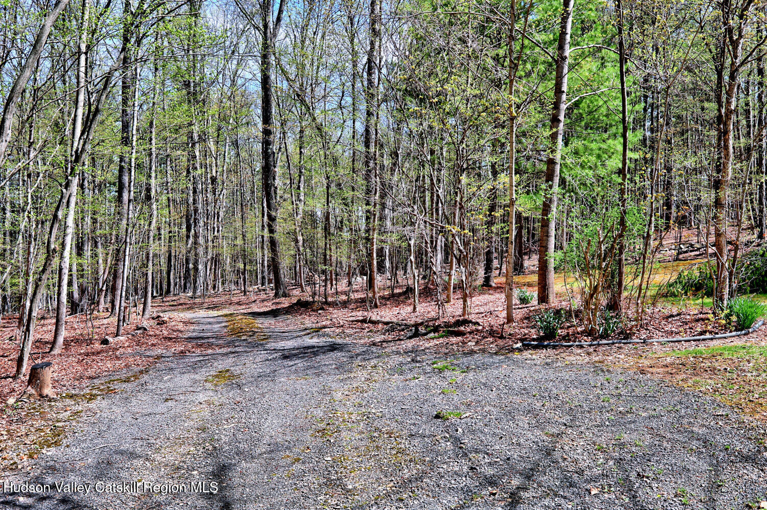 201 Edison Timmerman Road Cairo, NY 12413 - Photo 44 of 49 9zj