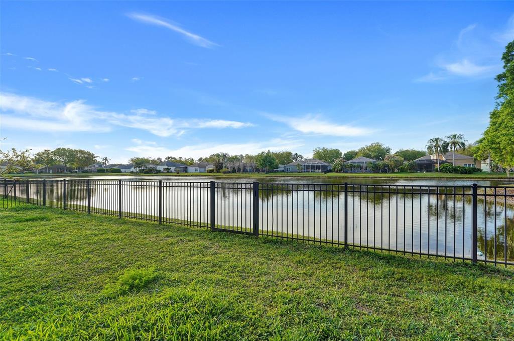 19111 Fern Meadow Loop Lutz, FL 33558 - Photo 12 of 41 a view of a yard with a fence