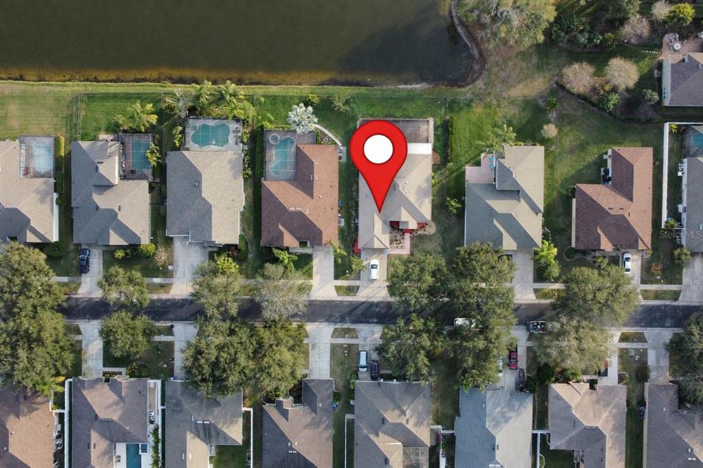 19111 Fern Meadow Loop Lutz, FL 33558 - Photo 2 of 43