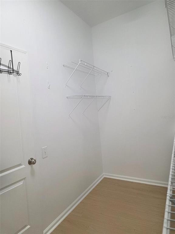 19111 Fern Meadow Loop Lutz, FL 33558 - Photo 32 of 43