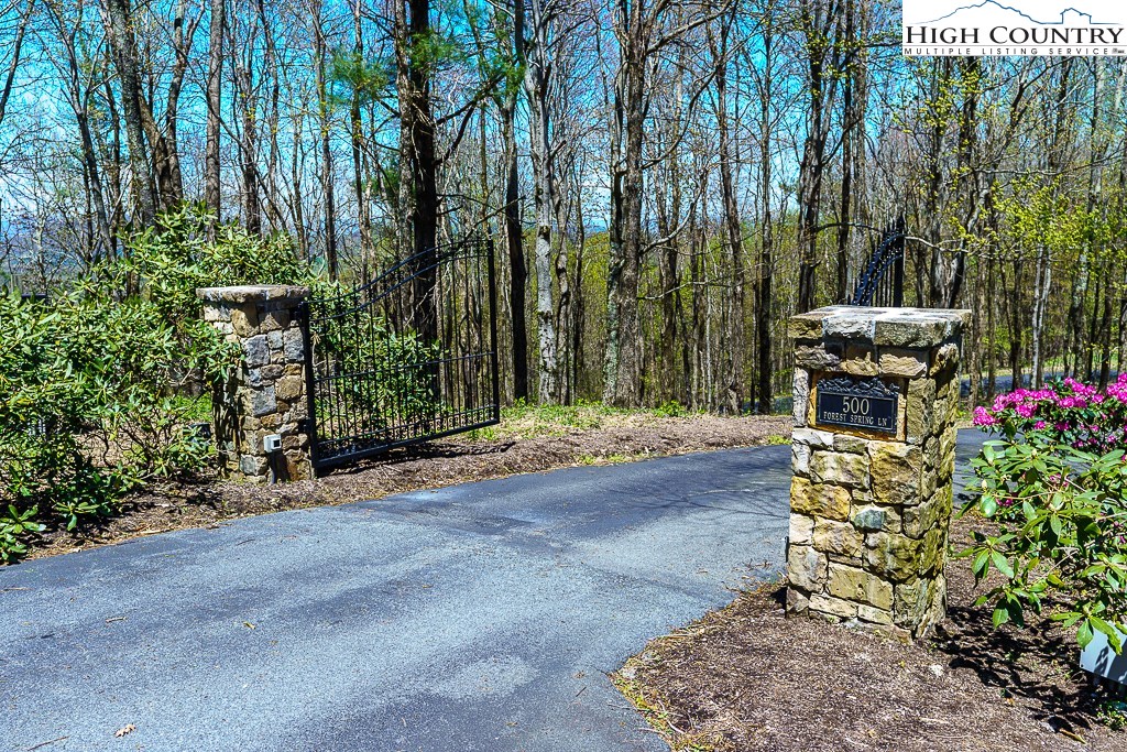 500 Forest Spring Lane Boone, NC 28607 - Photo 2 of 46 Gallery Image 2