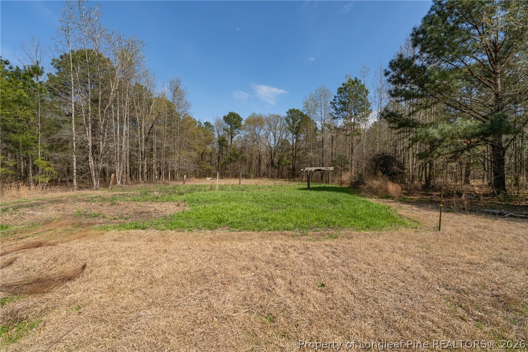 515 Mt Zion Road Red Springs, NC 28377 - Photo 44 of 50 a view of a park