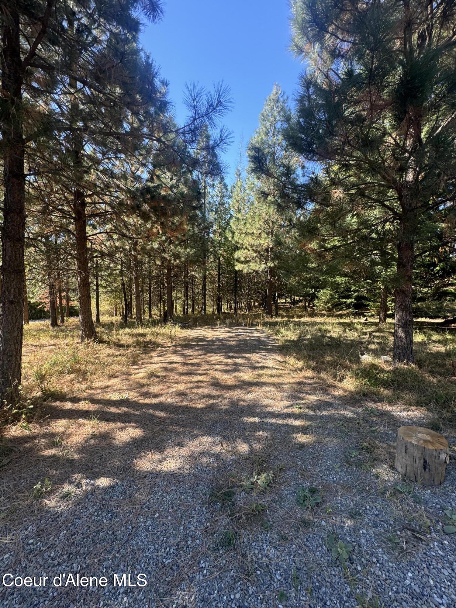 8569 East Challenge Road Hayden, ID 83835 - Photo 1 of 1 IMG_1060